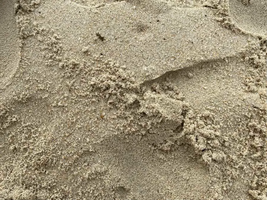 Plastikabbau mit Mikroorganismen