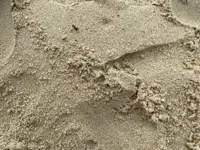 blog-plastik.webp