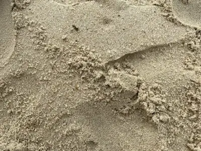 Plastikabbau mit Mikroorganismen